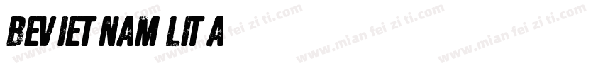 bevietnam lita字体转换